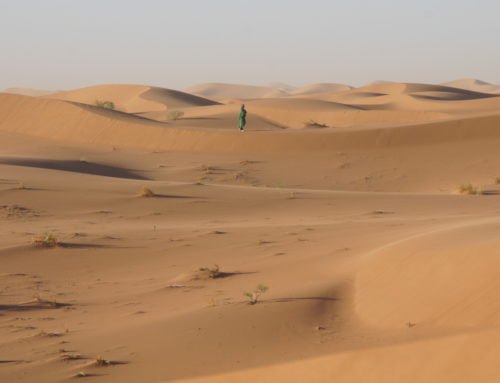 Gedanken zur Wüstenreise 2026